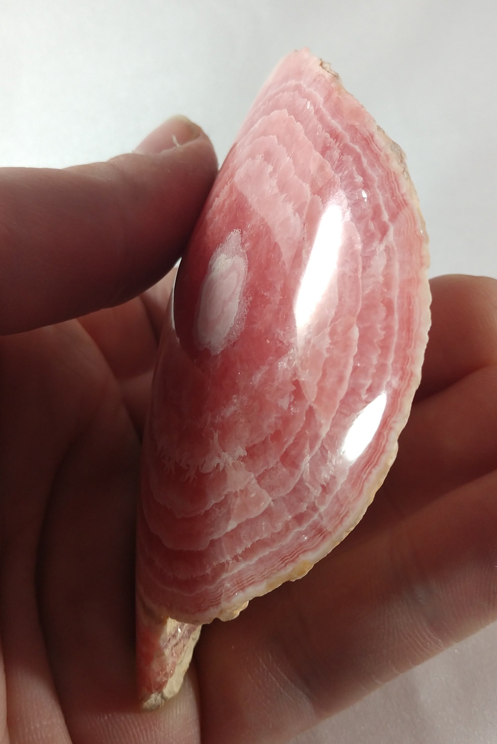 Rhodochrosite Stalactite Slice