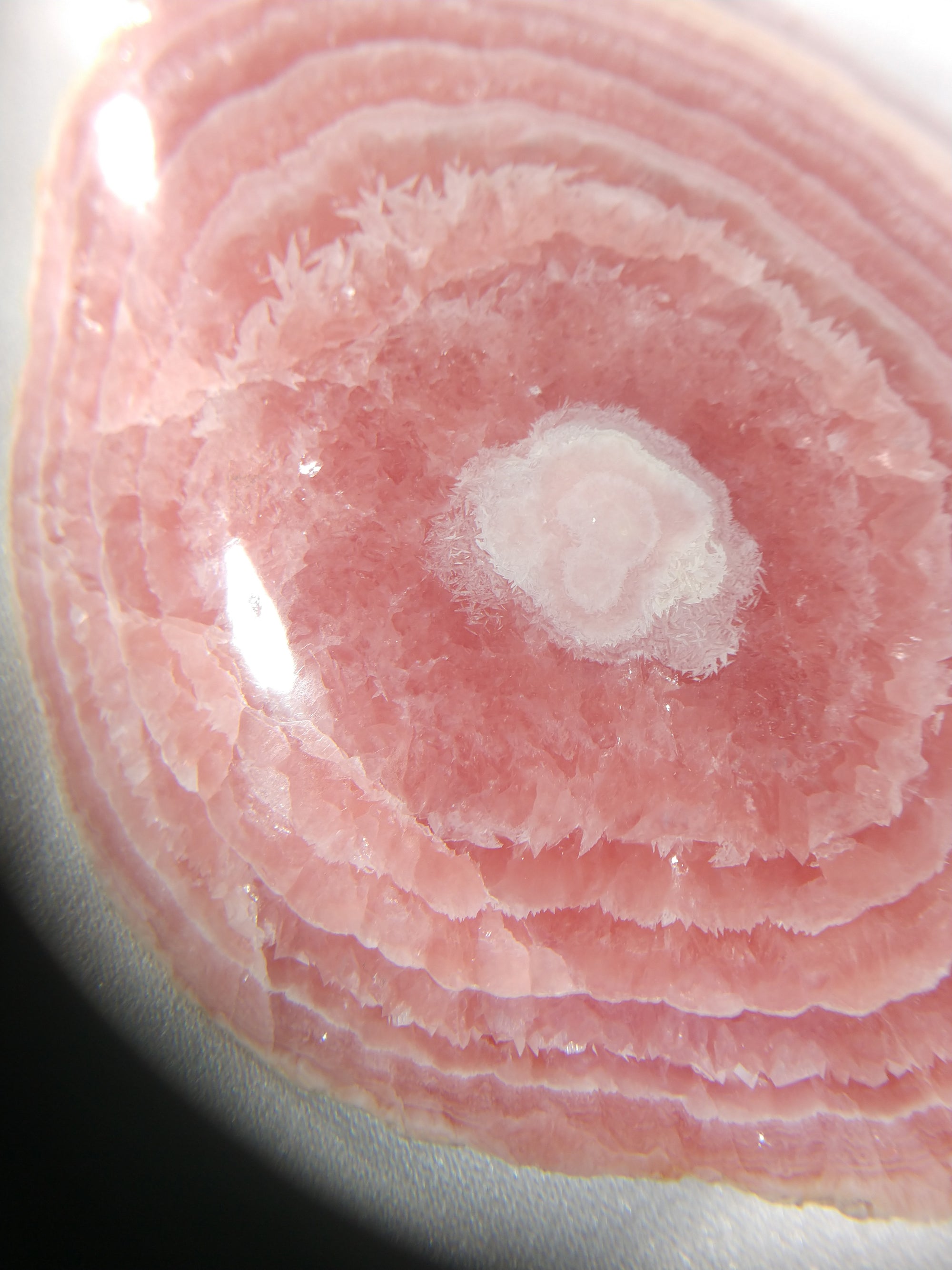Rhodochrosite Stalactite Slice