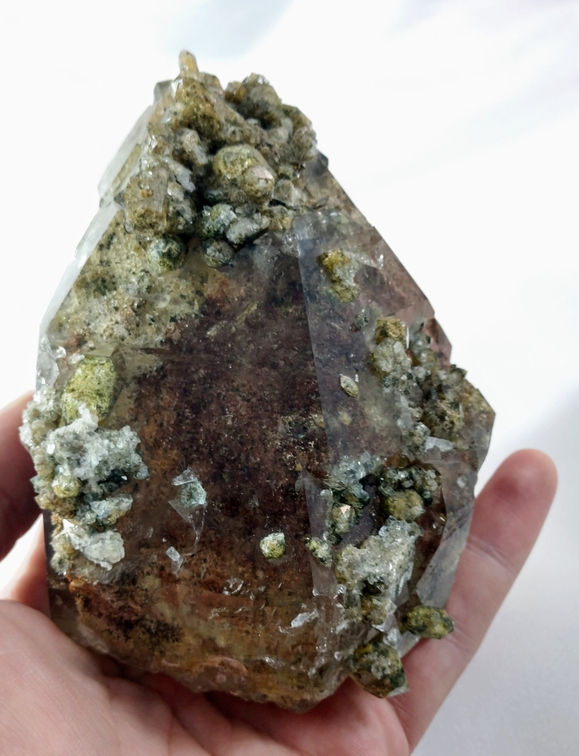 Lodolite (Quartz w/ Chlorite), Brasil