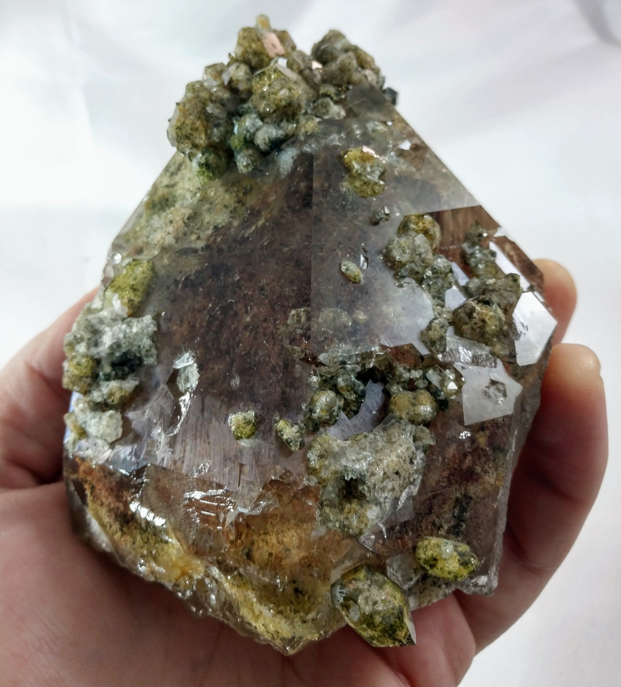 Lodolite (Quartz w/ Chlorite), Brasil