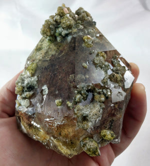 Lodolite (Quartz w/ Chlorite), Brasil