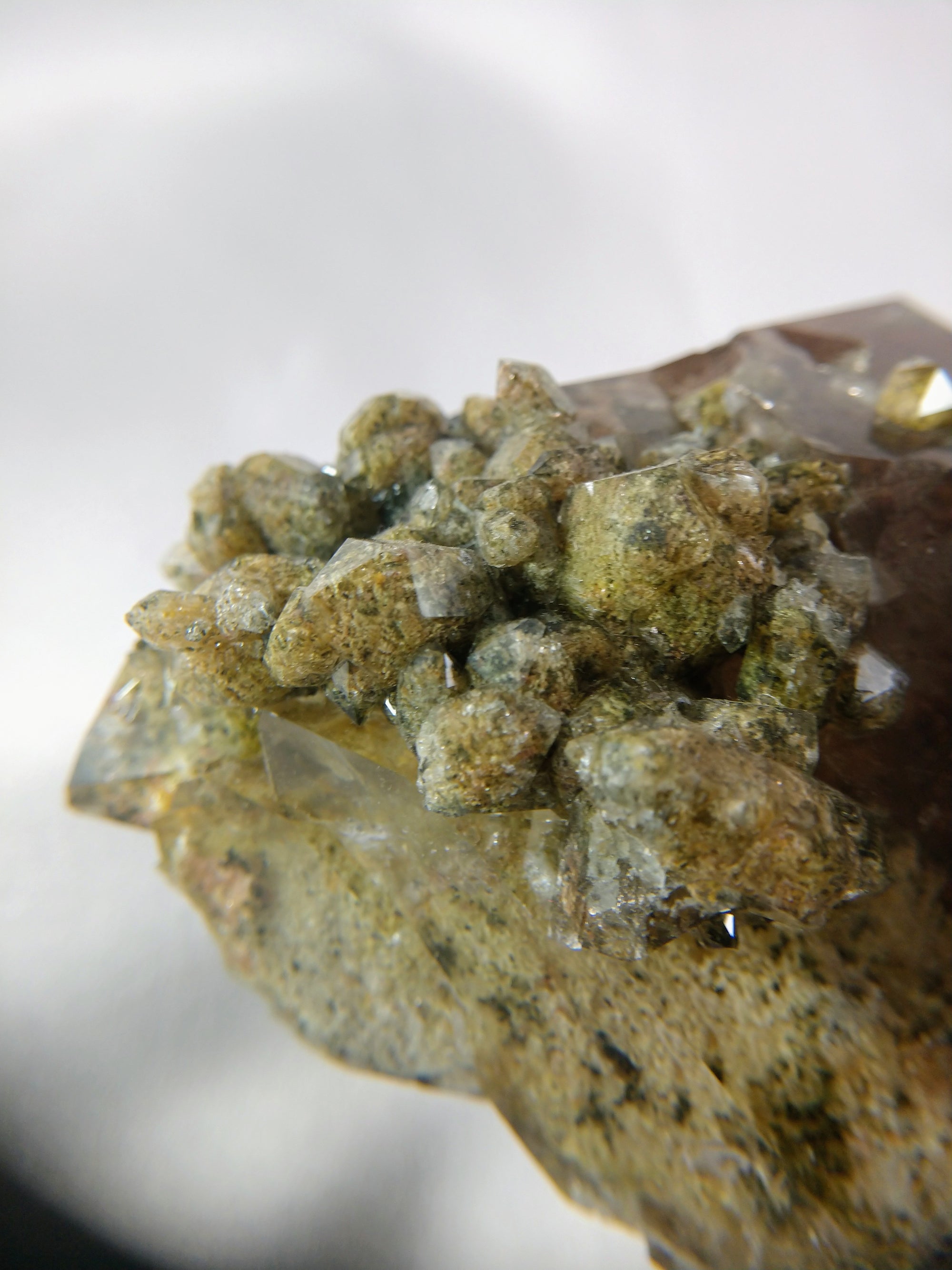 Lodolite (Quartz w/ Chlorite), Brasil