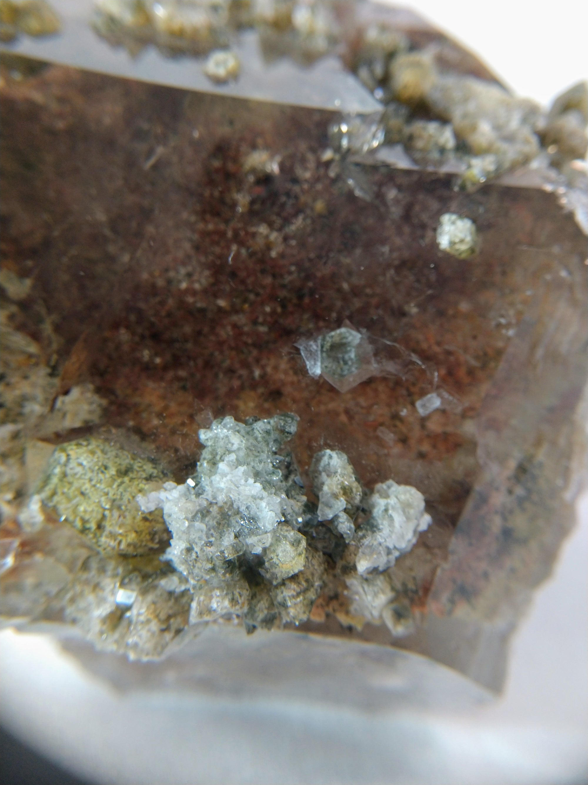 Lodolite (Quartz w/ Chlorite), Brasil