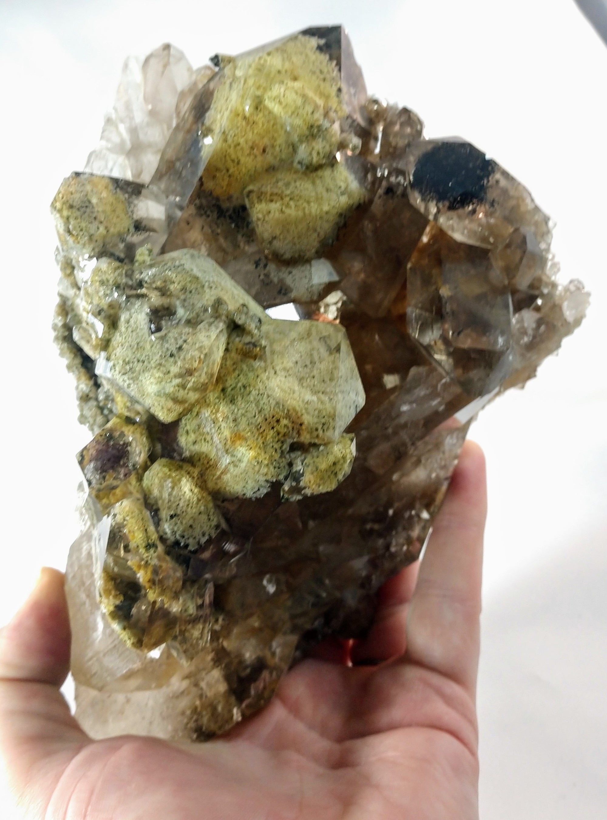 Lodolite (Quartz w/ Chlorite), Brasil