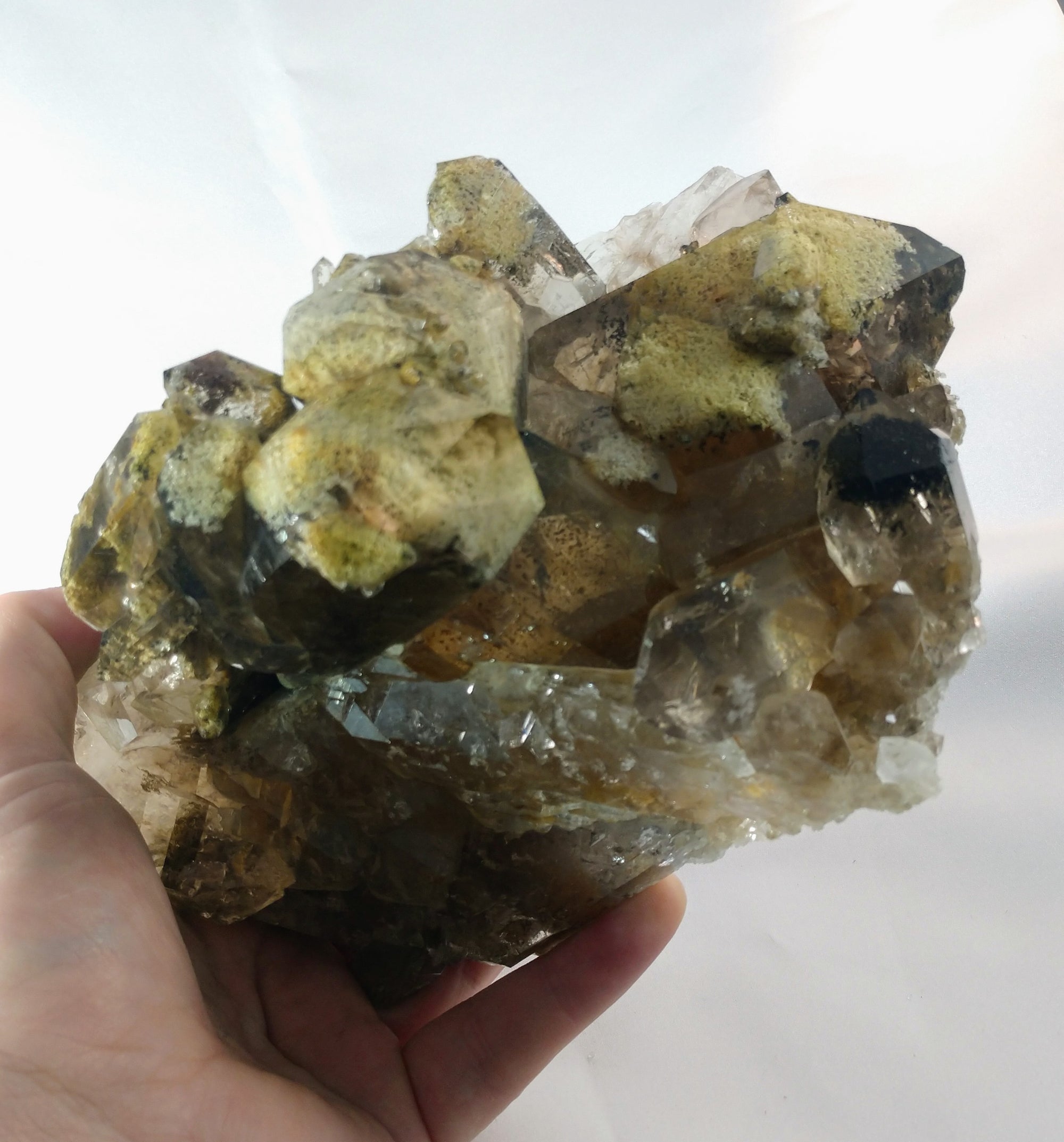 Lodolite (Quartz w/ Chlorite), Brasil