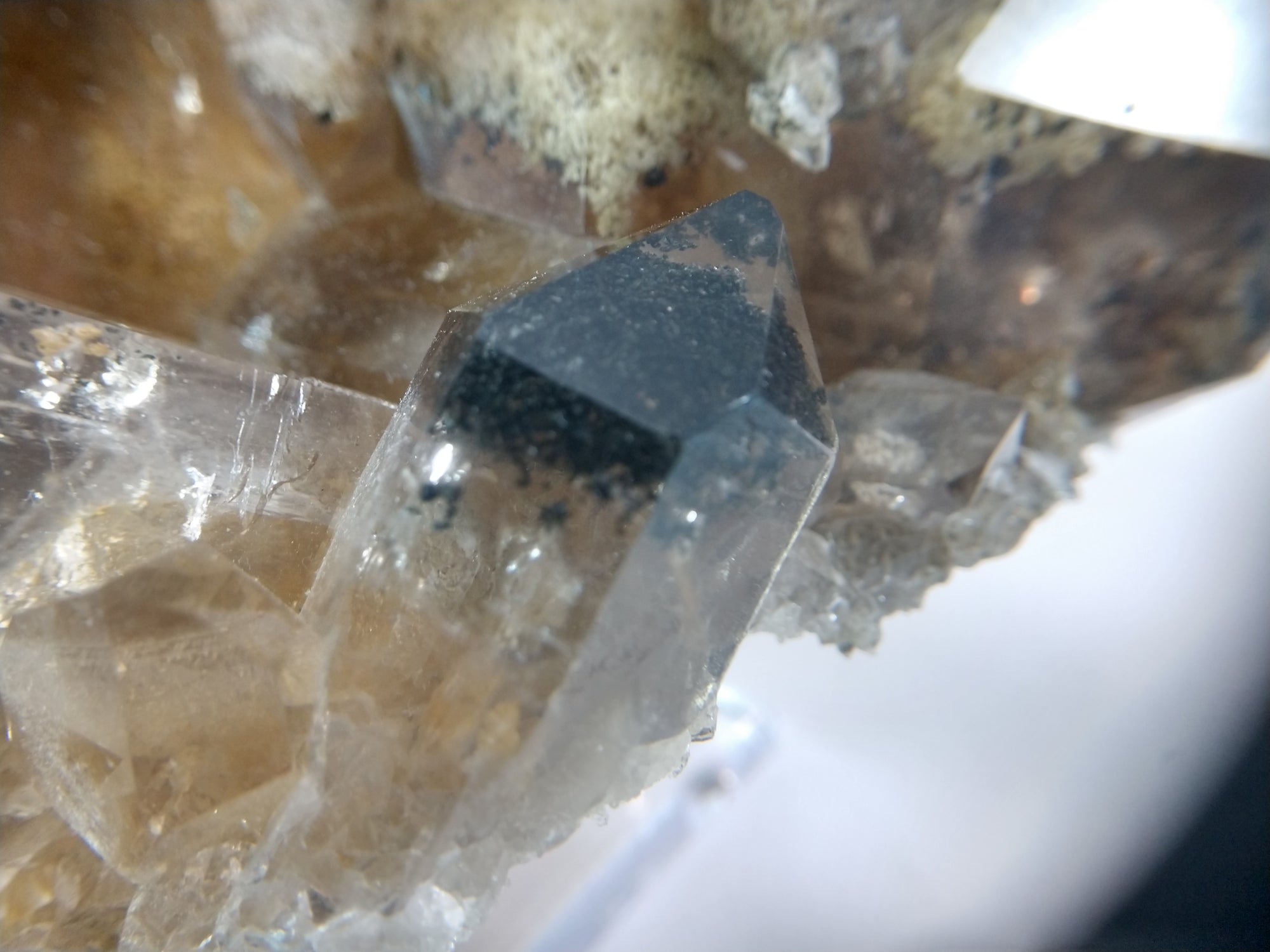 Lodolite (Quartz w/ Chlorite), Brasil