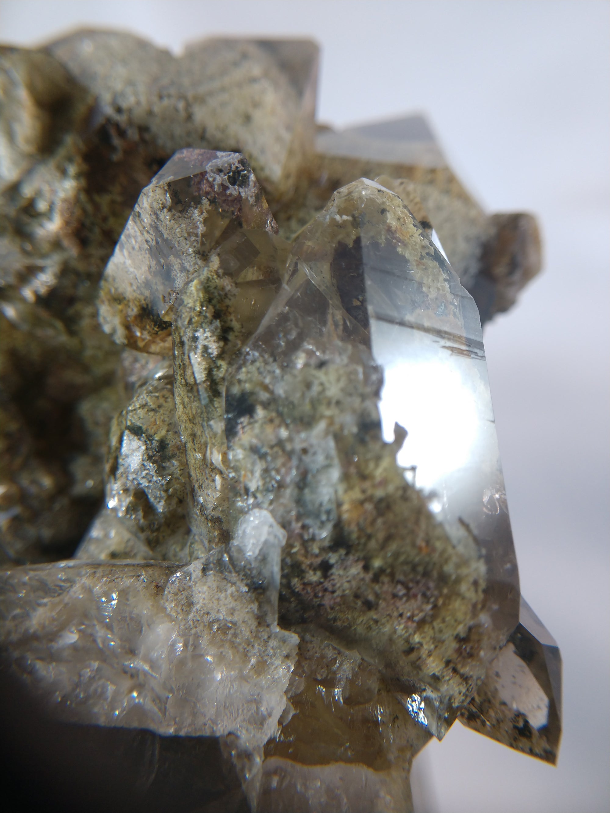 Lodolite (Quartz w/ Chlorite), Brasil