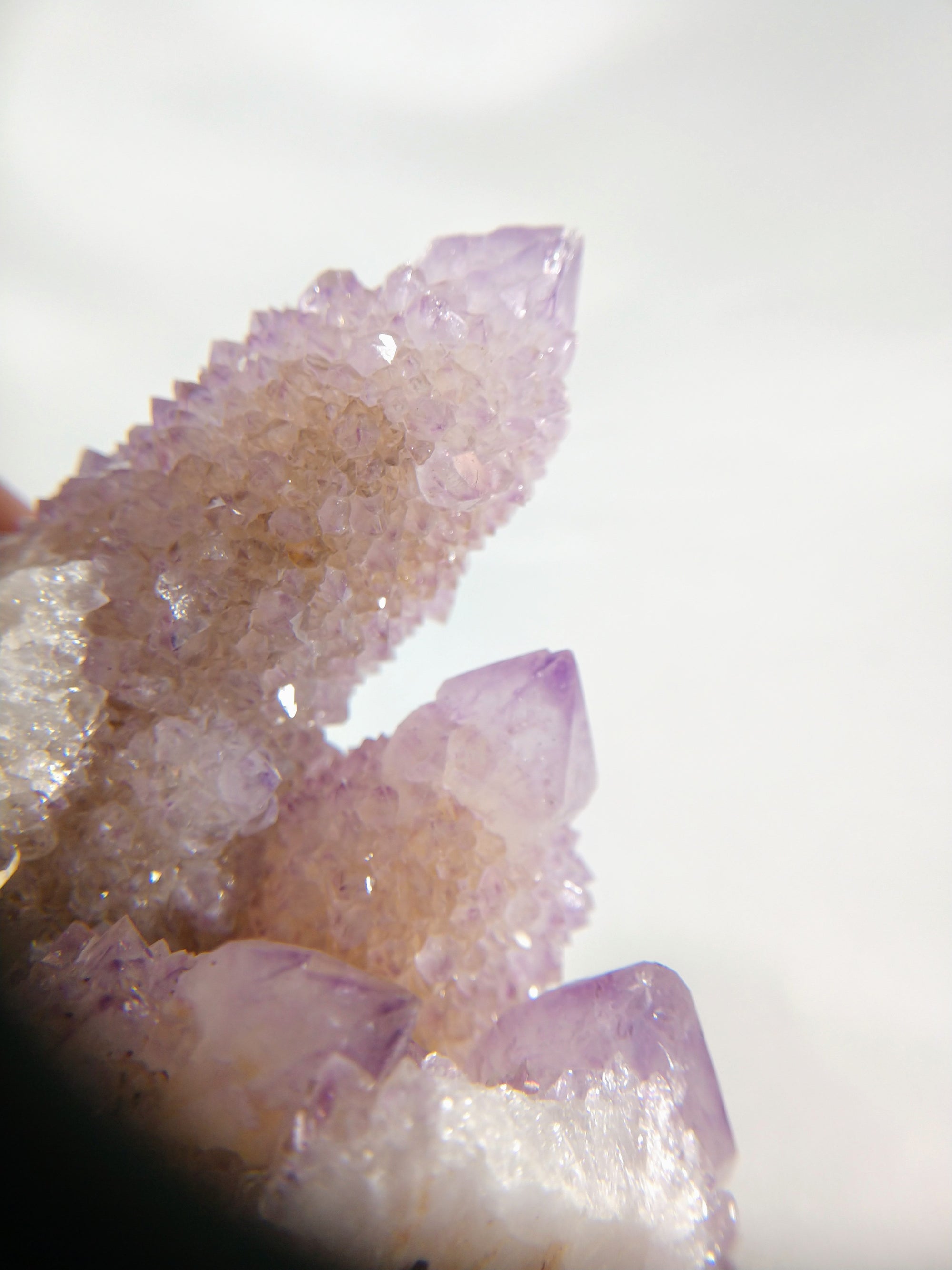 Cactus Quartz