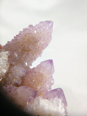 Cactus Quartz