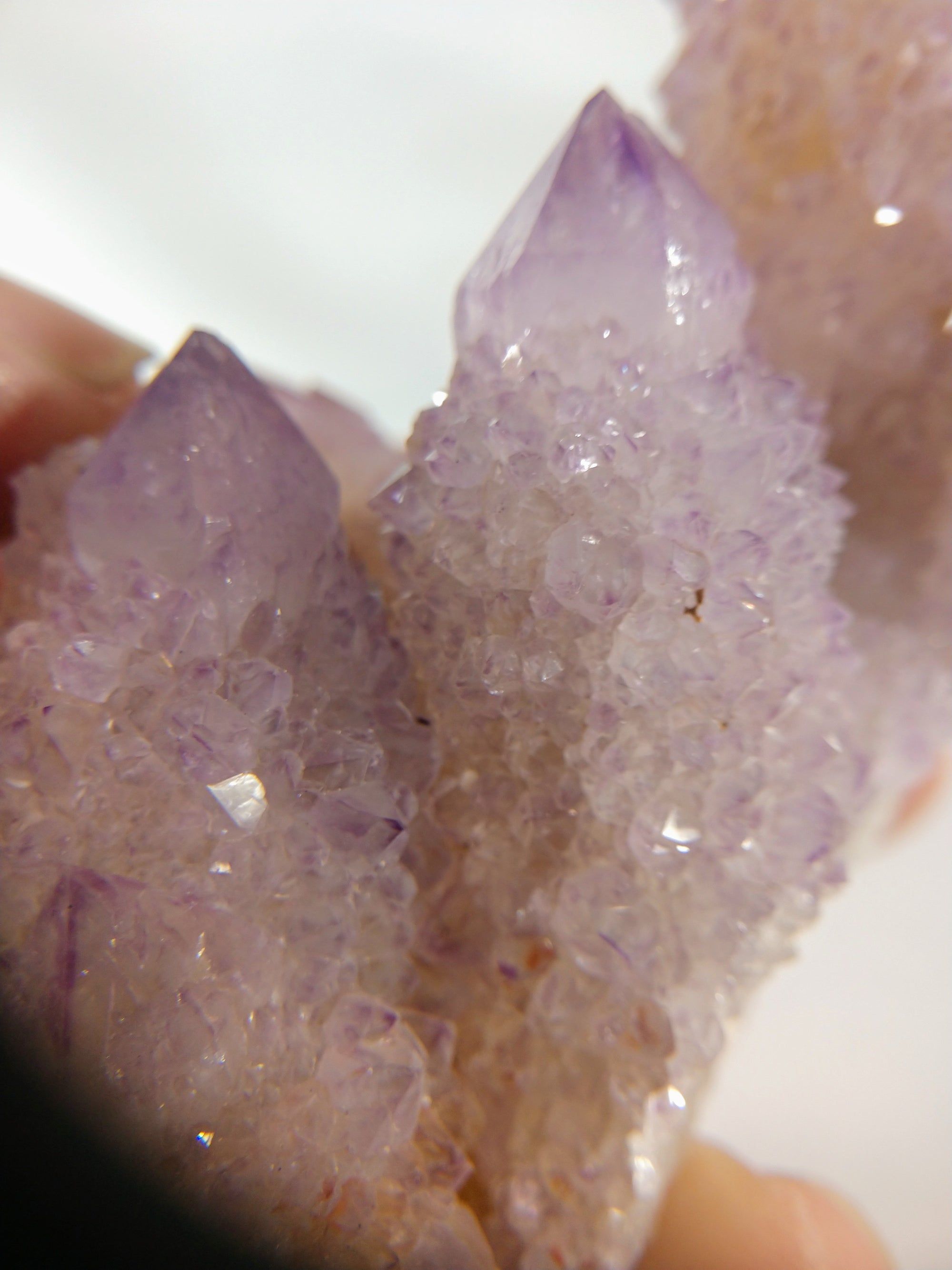 Cactus Quartz