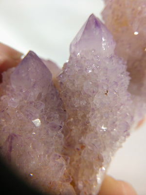 Cactus Quartz