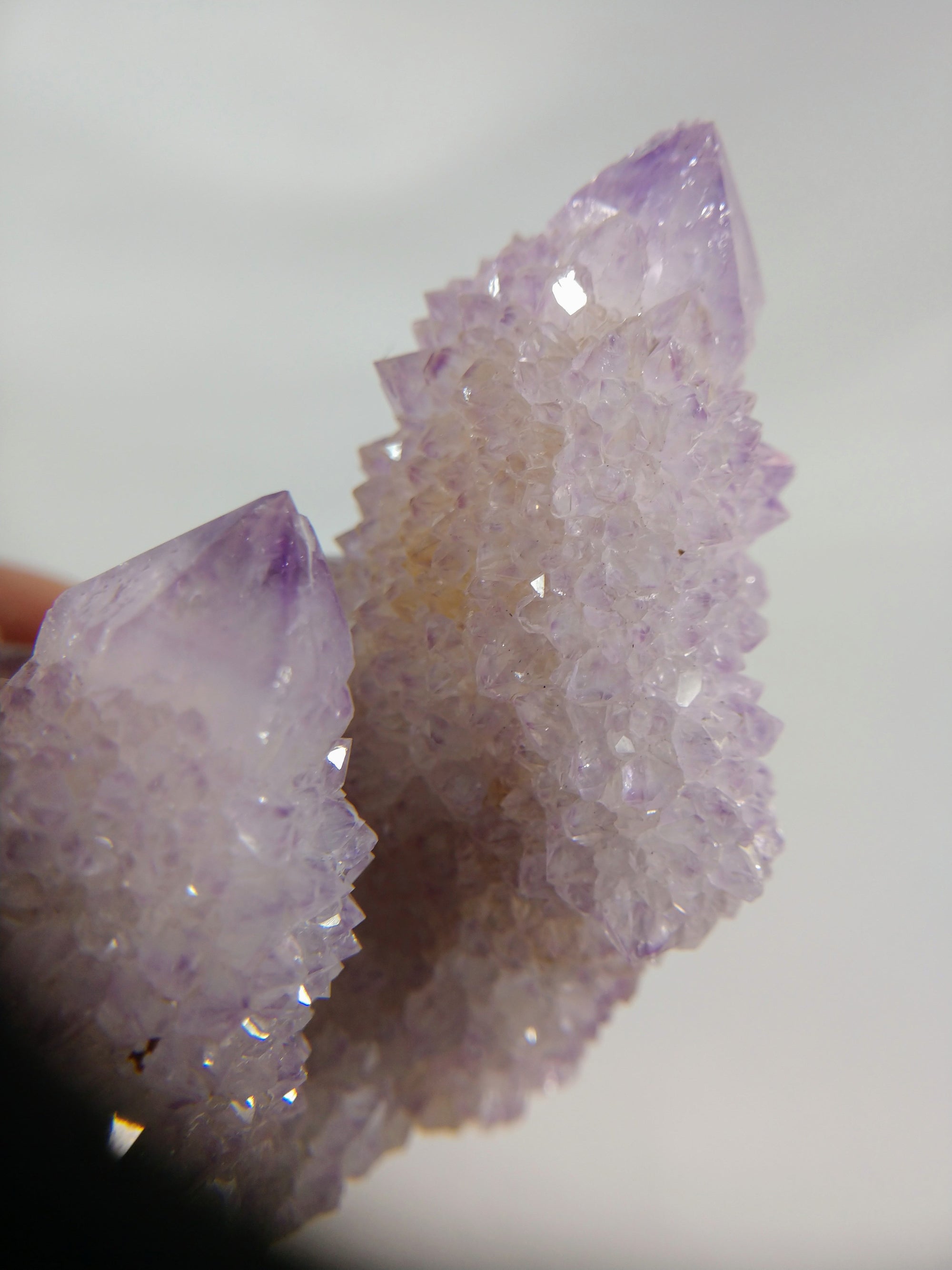 Cactus Quartz