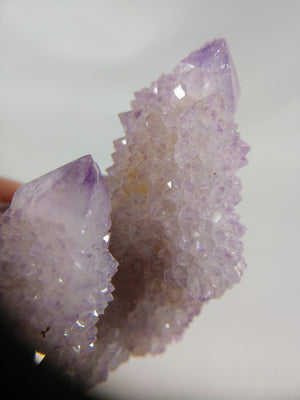Cactus Quartz