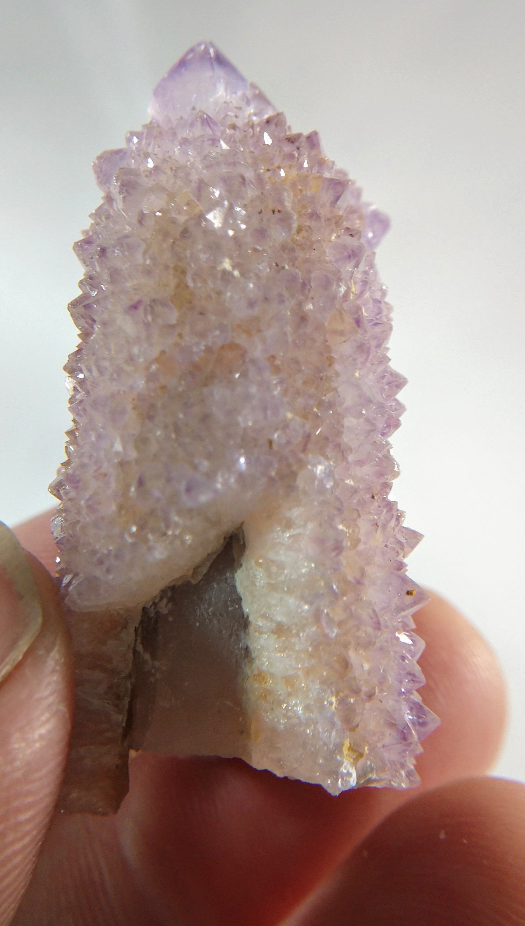 Cactus Quartz