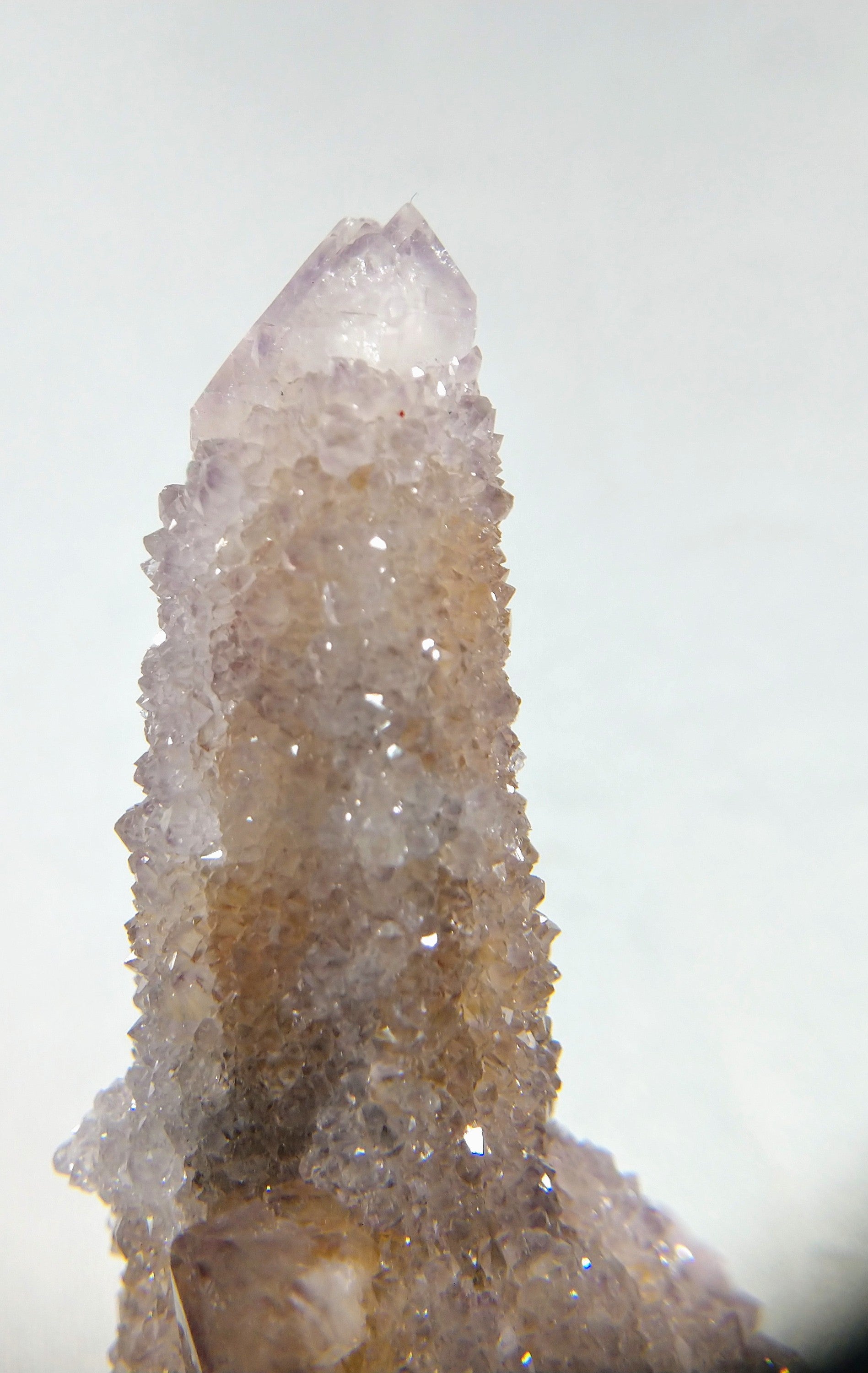 Cactus Quartz