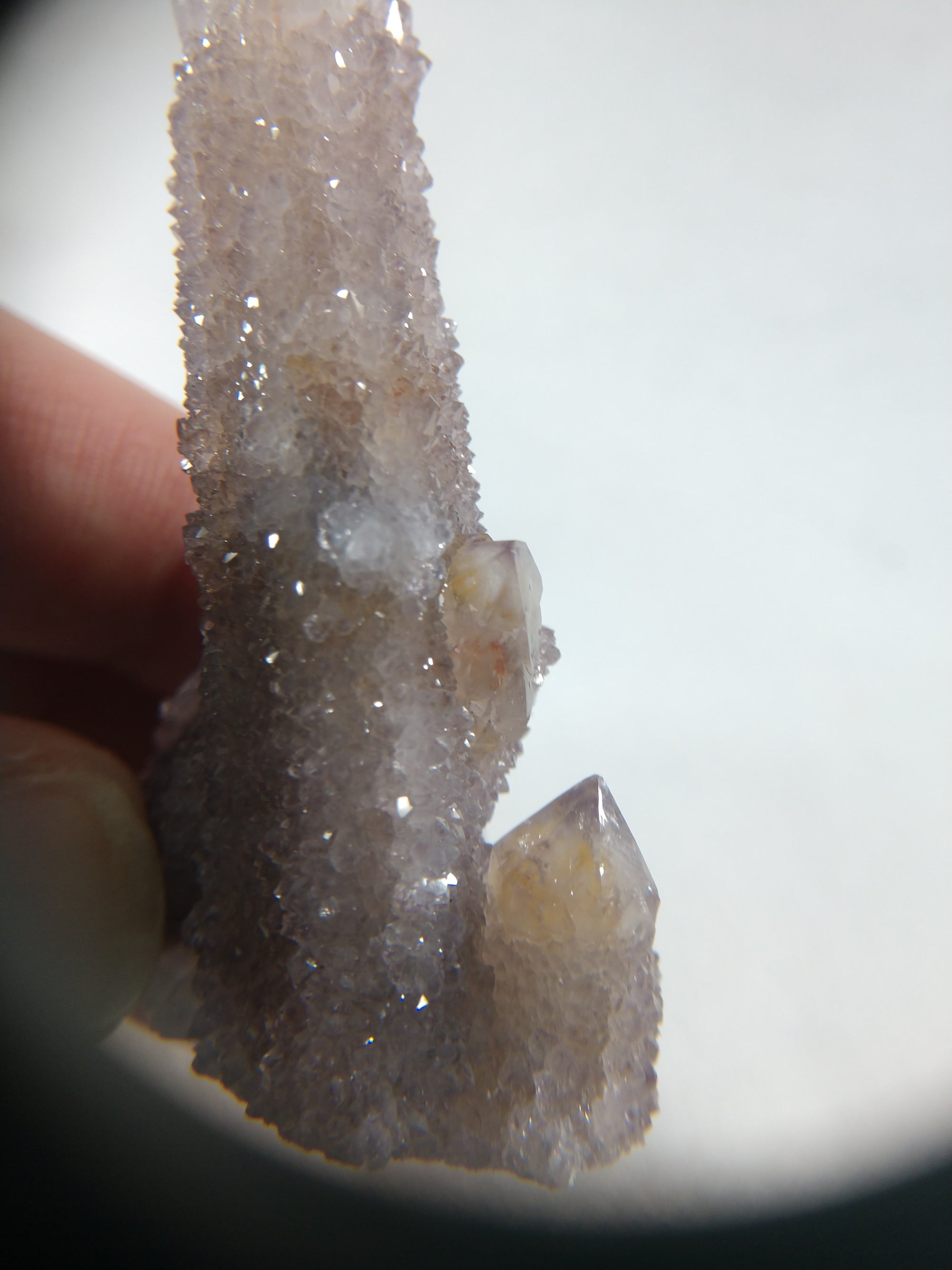 Cactus Quartz