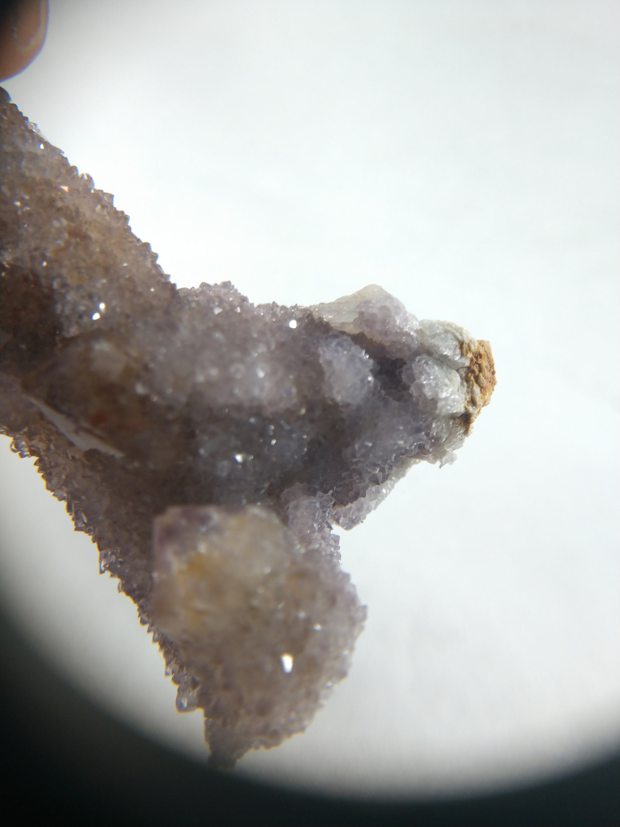 Cactus Quartz