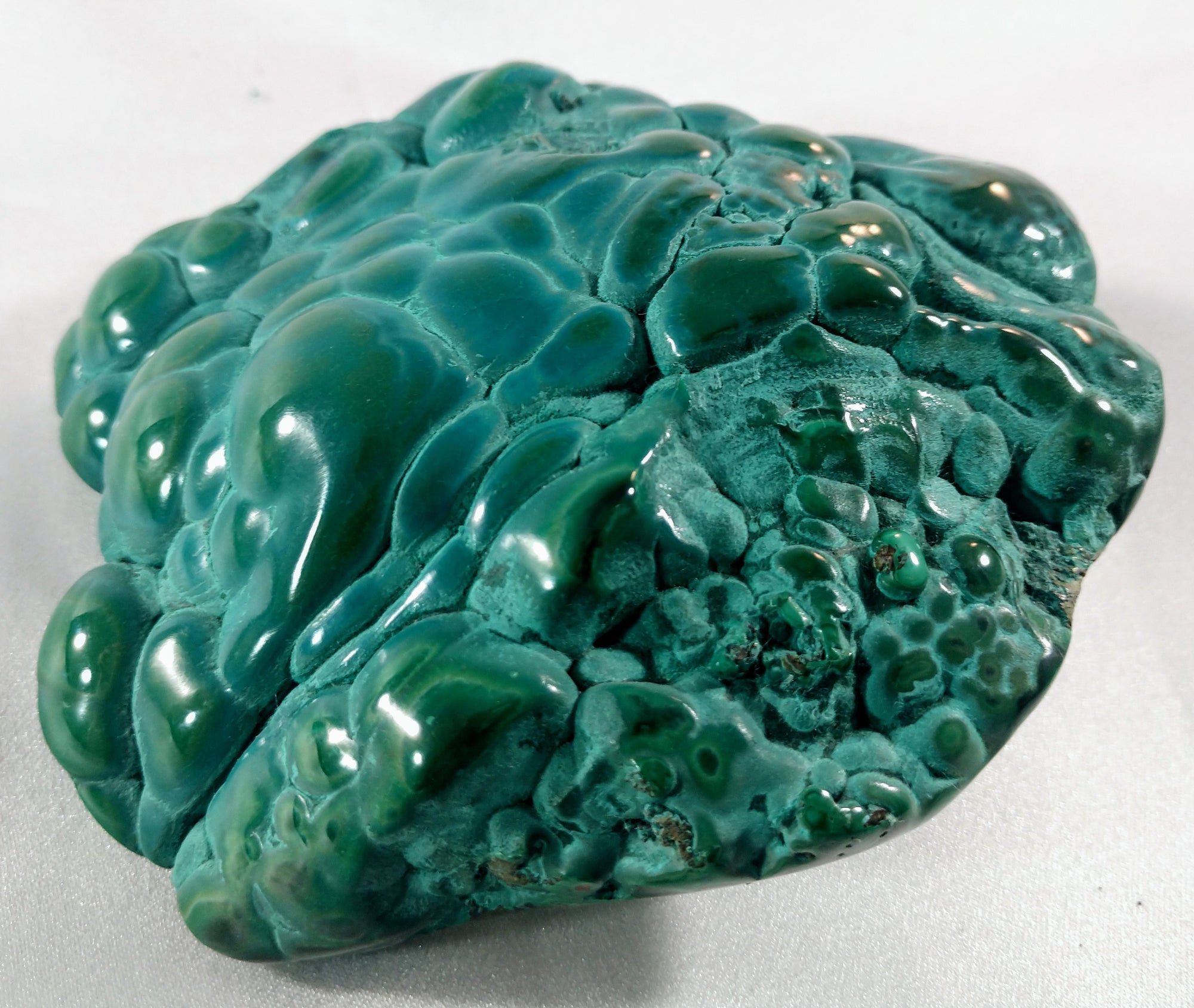 Botryodial Malachite from the Congo