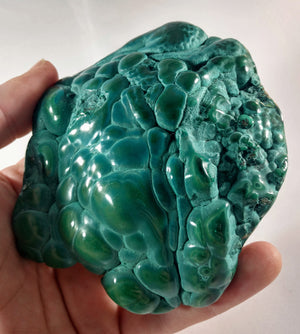 Botryodial Malachite from the Congo