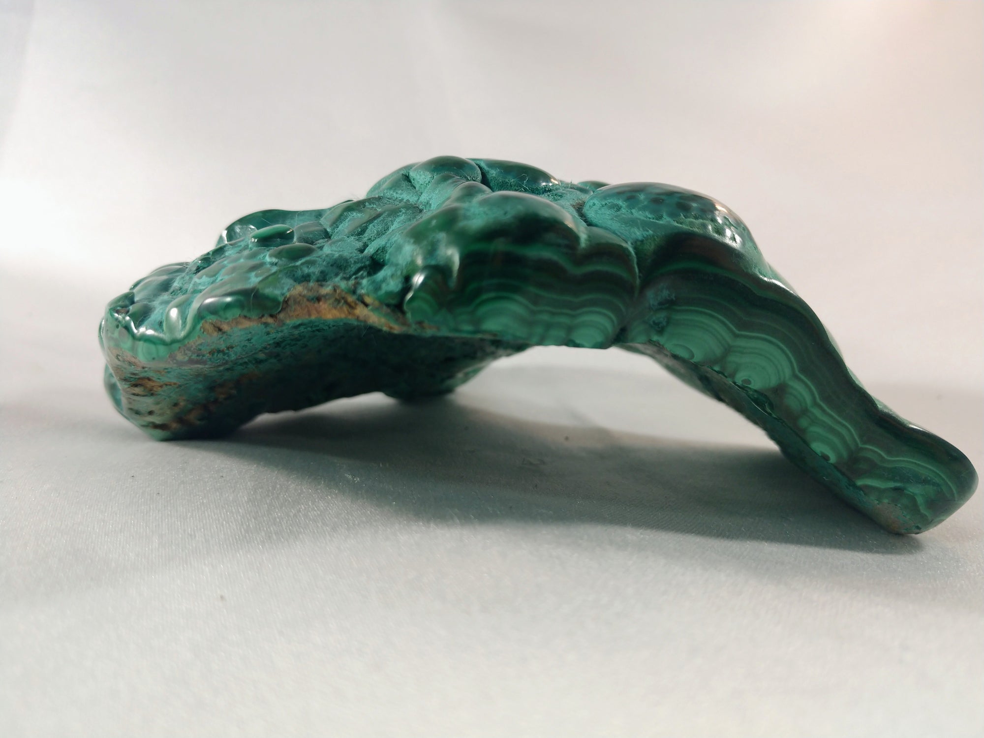 Botryodial Malachite from the Congo