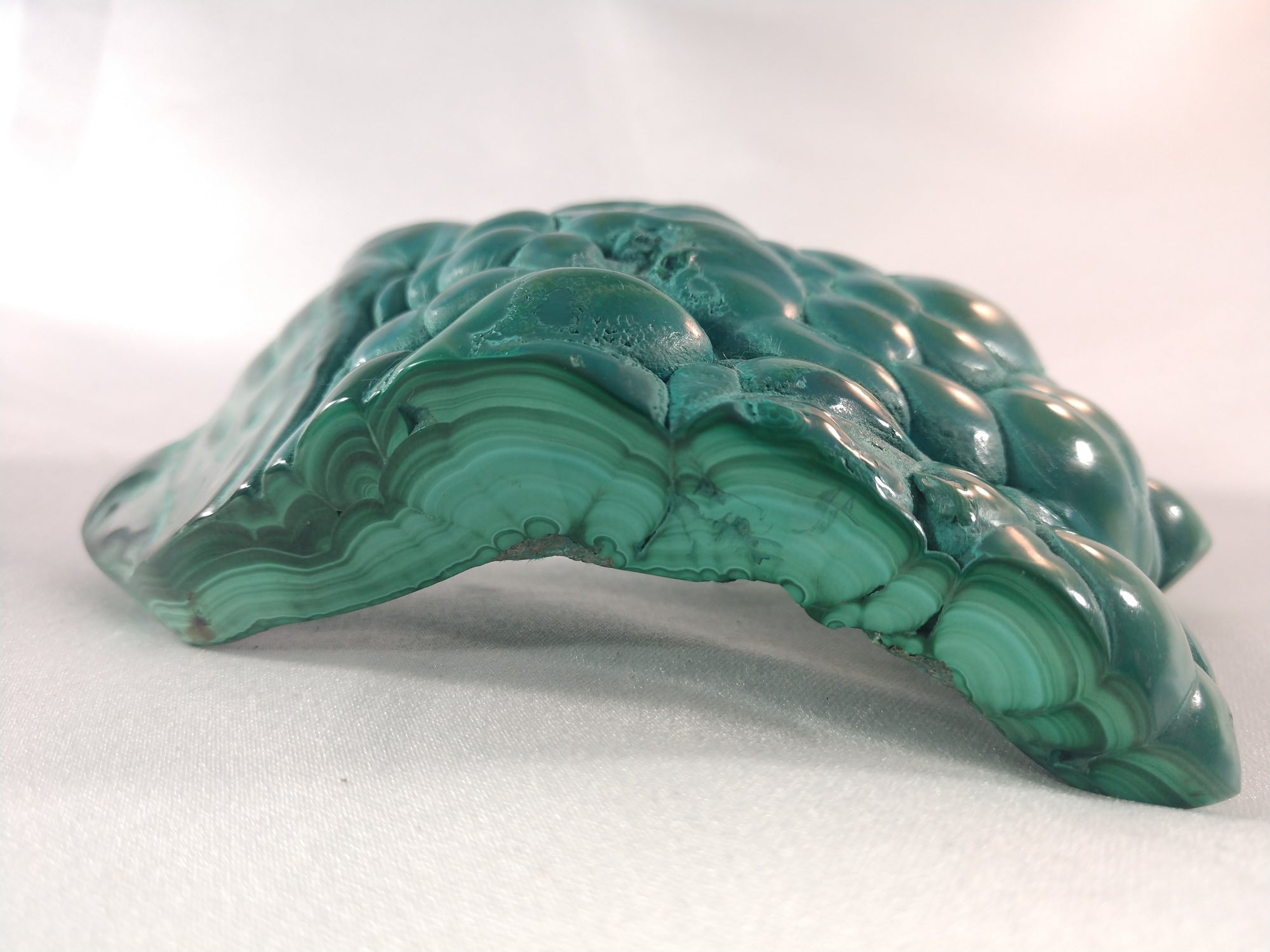 Botryodial Malachite from the Congo