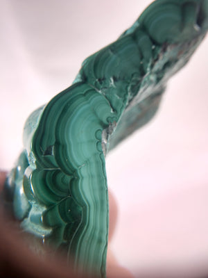 Botryodial Malachite from the Congo