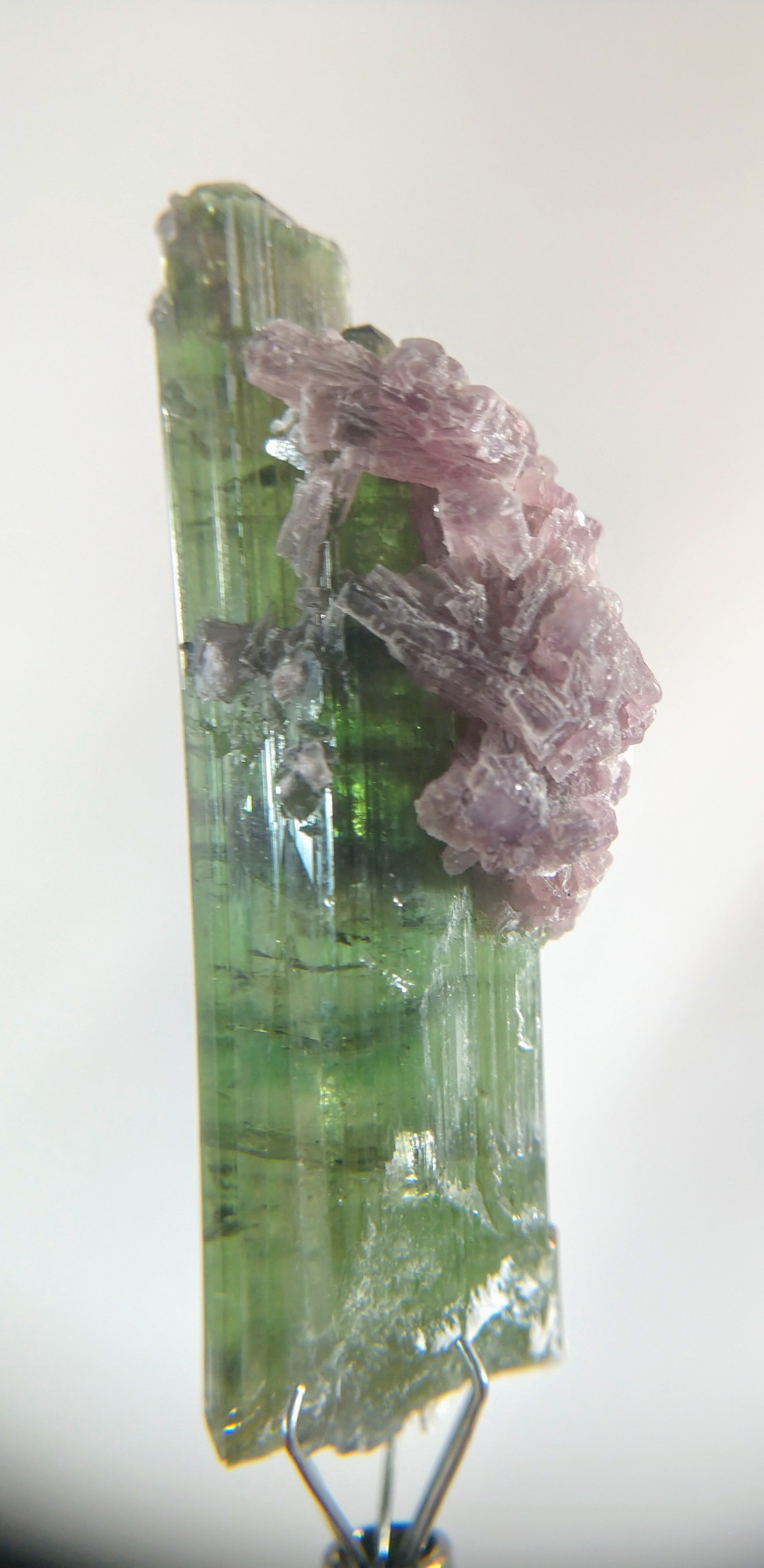 Verdelite Tourmaline with Lepidolite