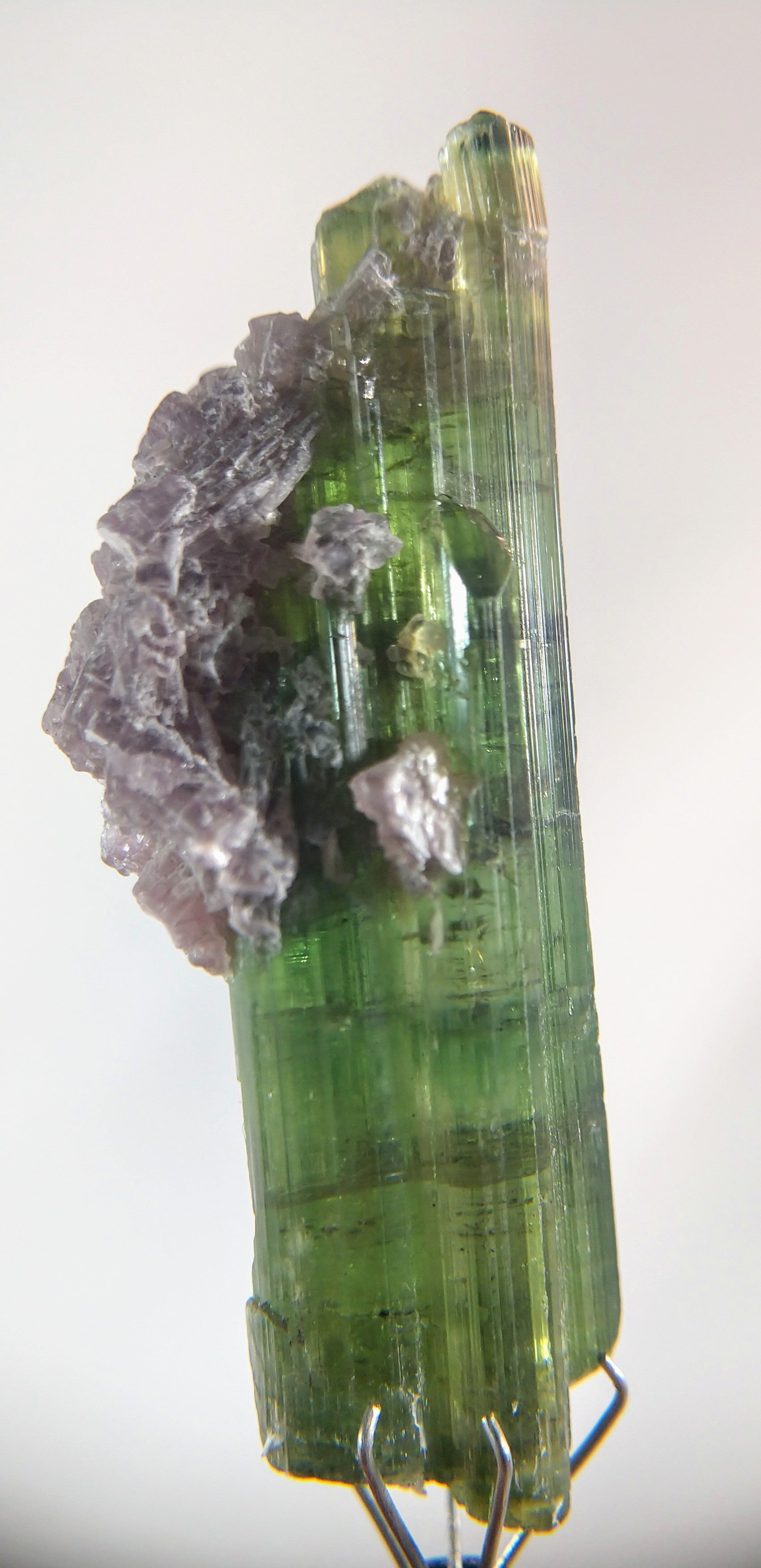 Verdelite Tourmaline with Lepidolite