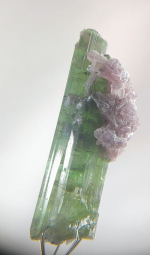 Verdelite Tourmaline with Lepidolite