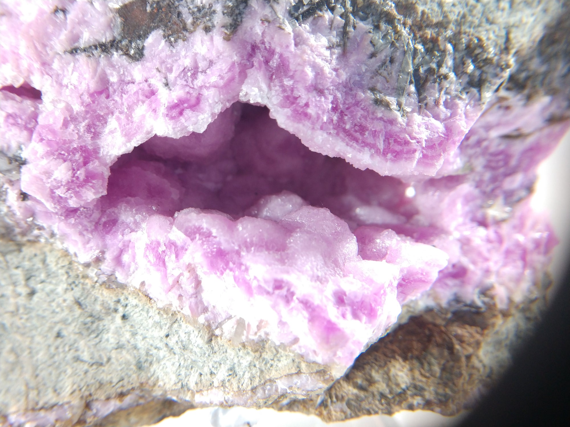 Cobaltoan Calcite