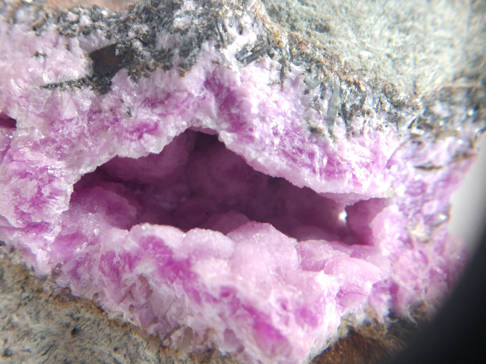 Cobaltoan Calcite