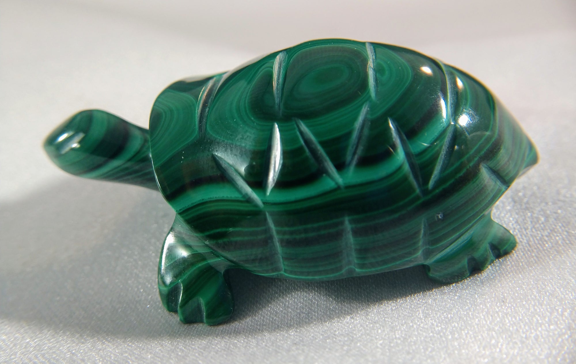 Malachite Turtle