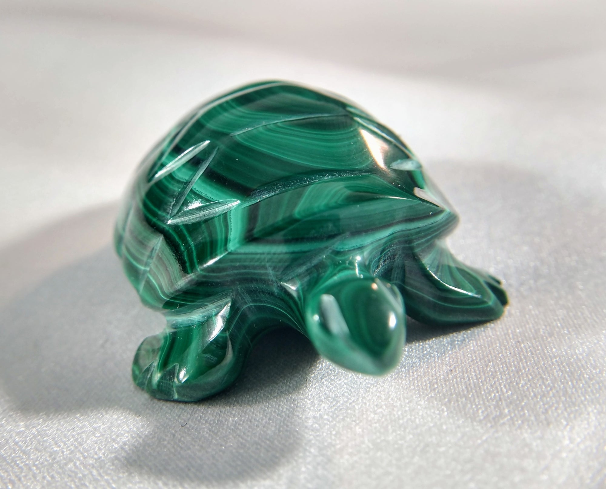 Malachite Turtle