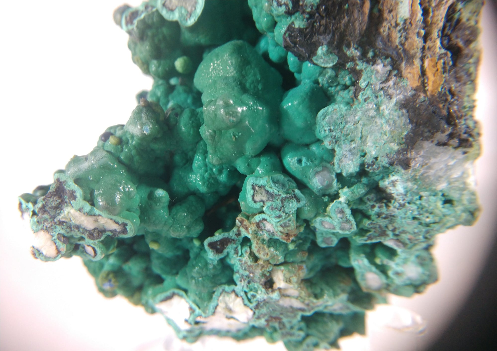 Malachite with Azurite, Phelps Open Pit Mine
