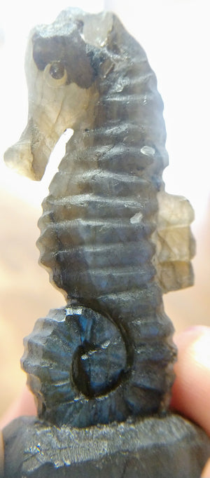 Labradorite Seahorse
