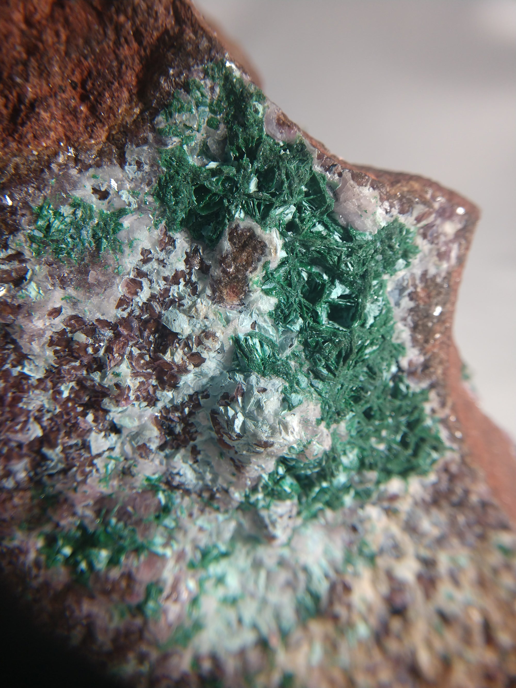 Spherocobaltite with Malachite and Quartz