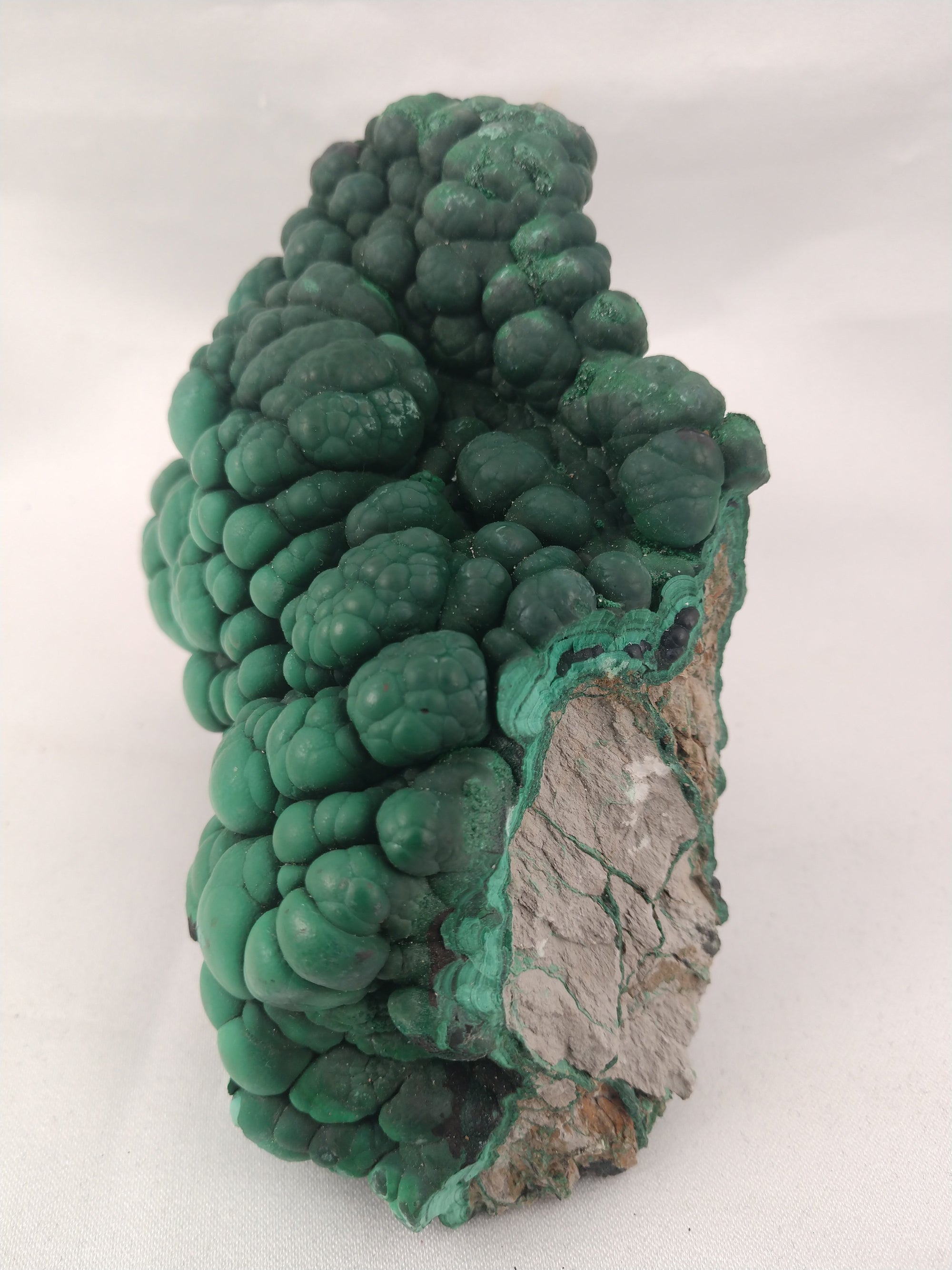 Botryodial Malachite, Congo