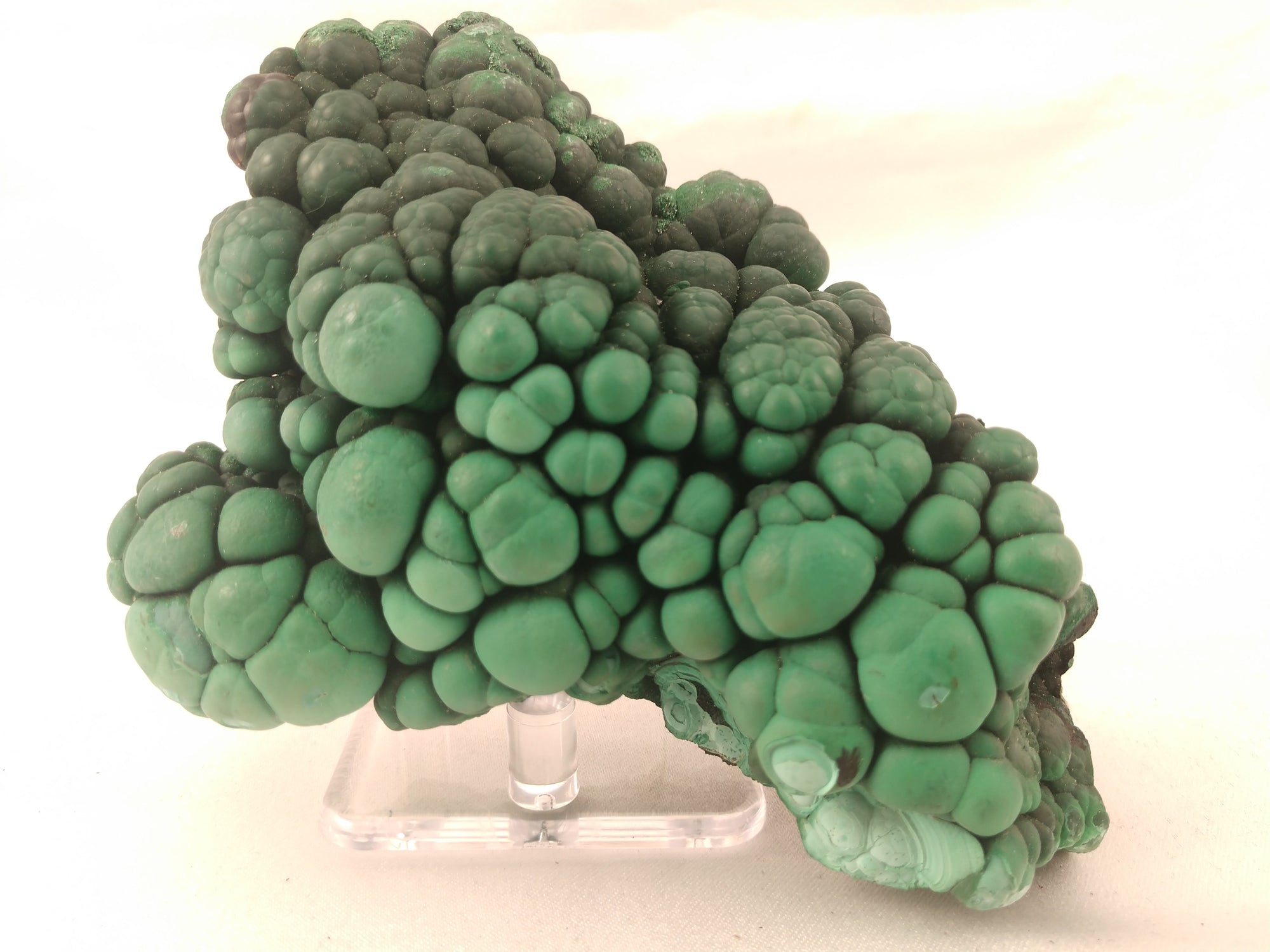 Botryodial Malachite, Congo
