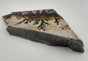 Dendrite and Limestone, Utah
