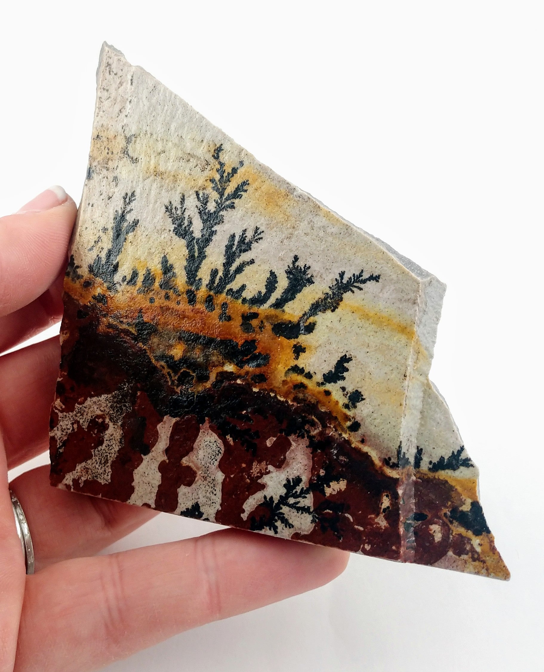 Dendrite and Limestone, Utah