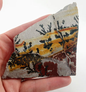 Dendrite and Limestone, Utah