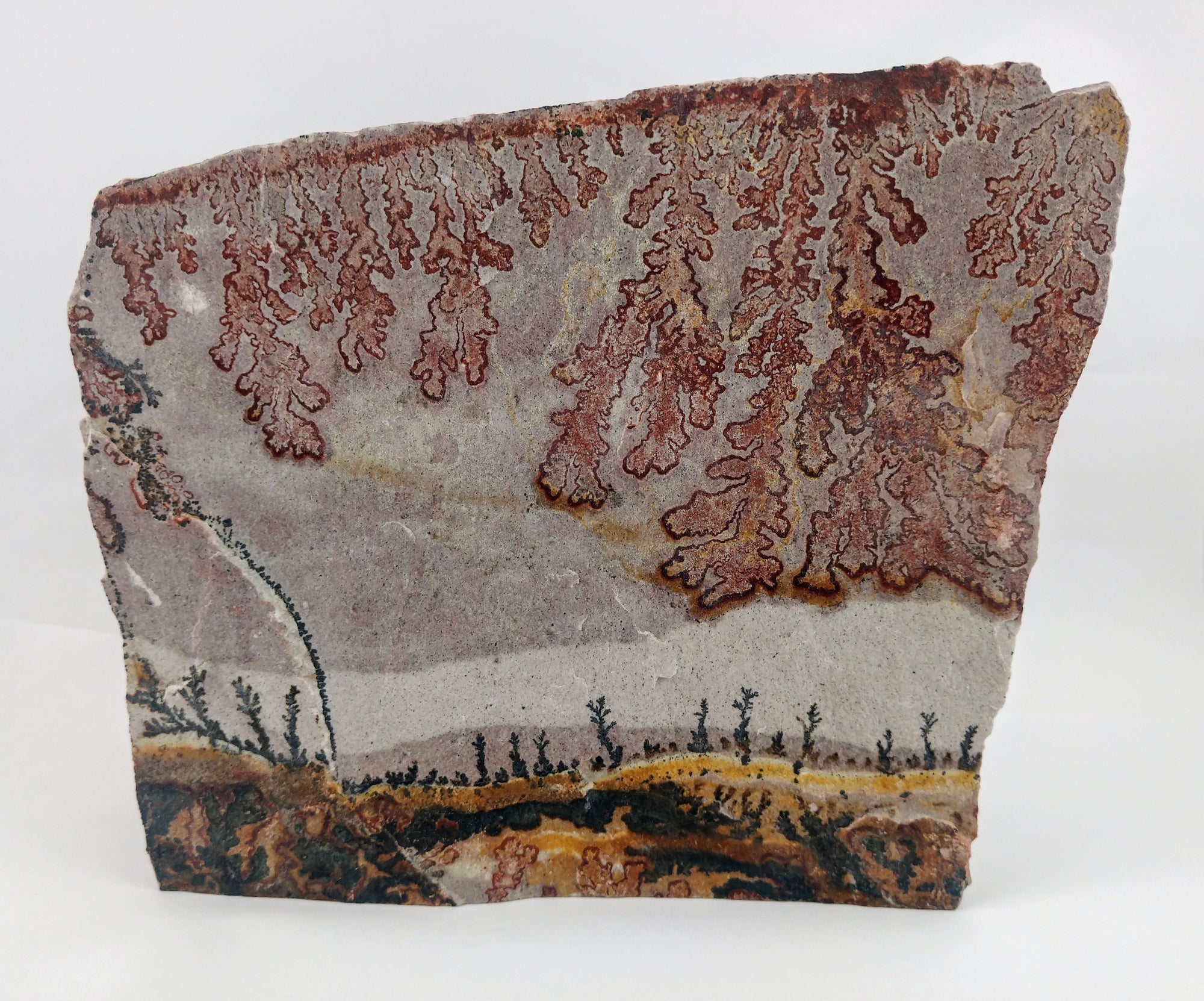 Dendrite and Limestone, Utah
