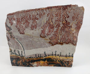 Dendrite and Limestone, Utah