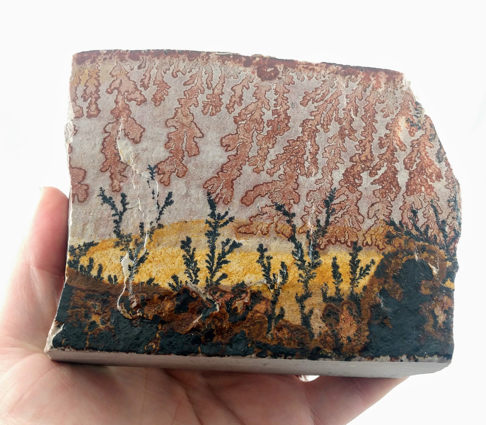Dendrite and Limestone, Utah