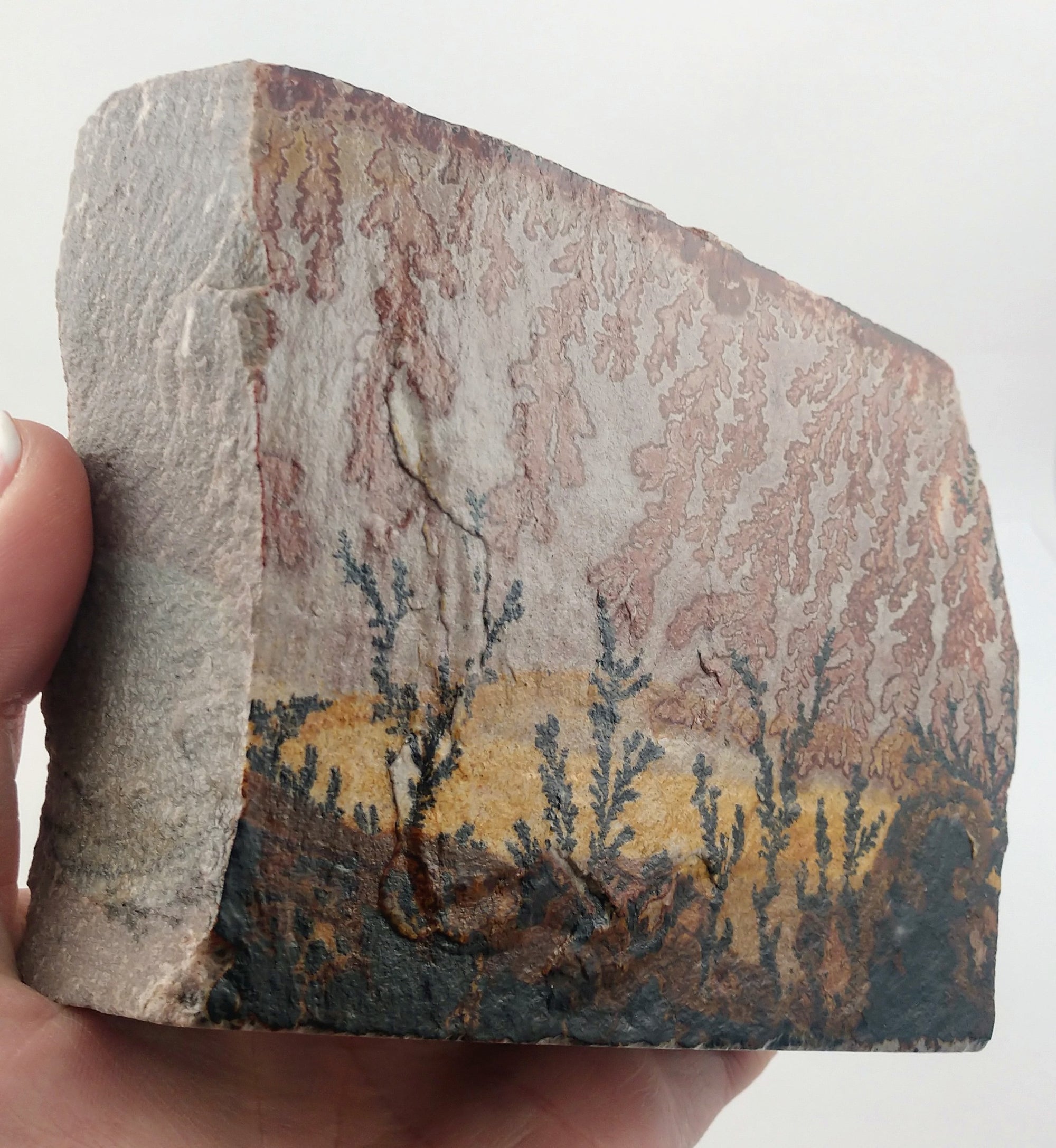 Dendrite and Limestone, Utah