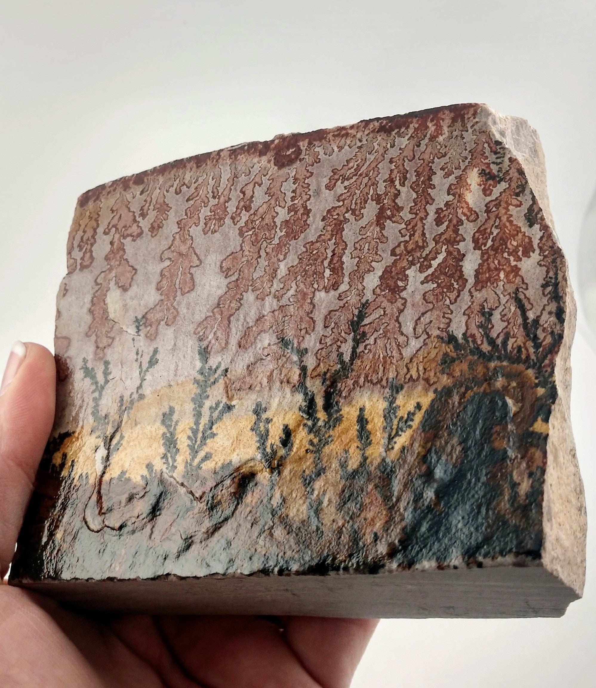 Dendrite and Limestone, Utah