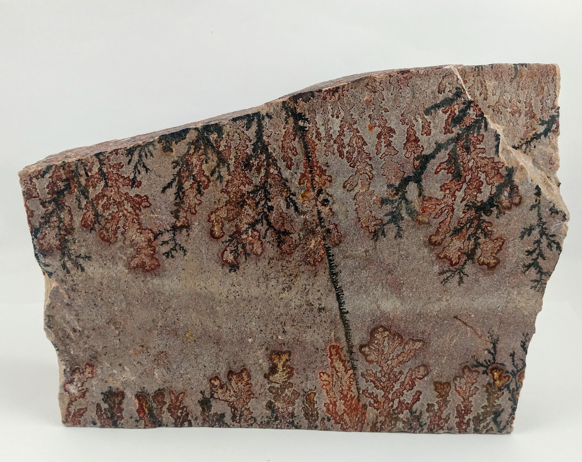 Dendrite and Limestone, Utah