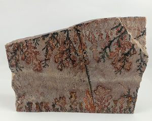 Dendrite and Limestone, Utah