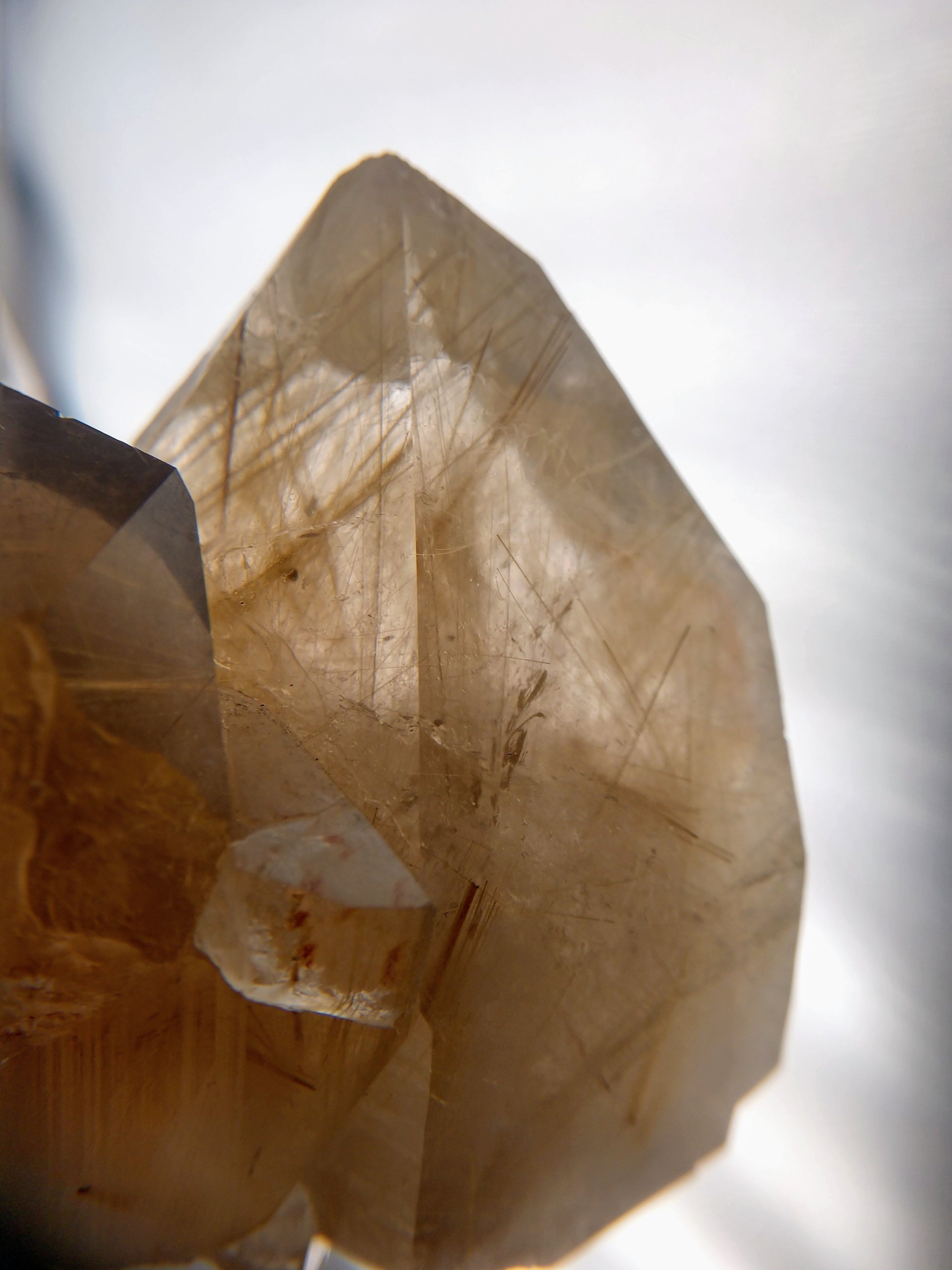 Rutilated Smoky Quartz