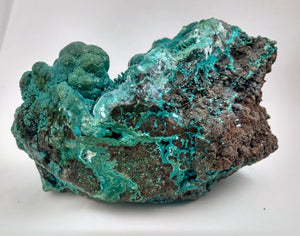 Botryoidal Chrysocolla